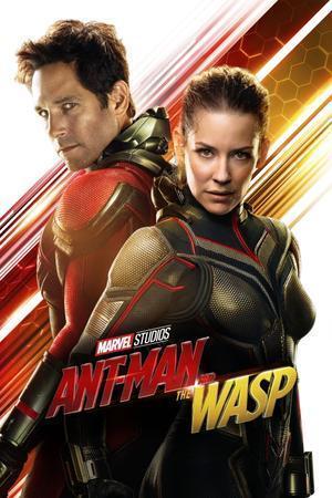 Ant-Man And The Wasp 2018