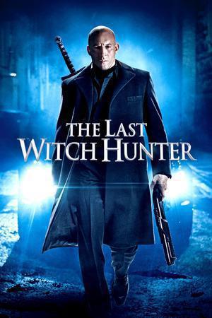 The Last Witch Hunter 2015
